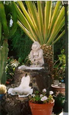 San Francisco Park (adults Only) Apartment *