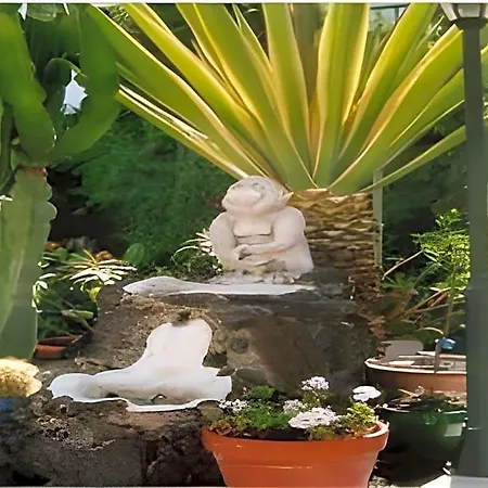Apartament San Francisco Park (adults Only) Puerto del Carmen (Lanzarote)