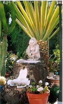 San Francisco Park (adults Only) * Puerto del Carmen (Lanzarote)
